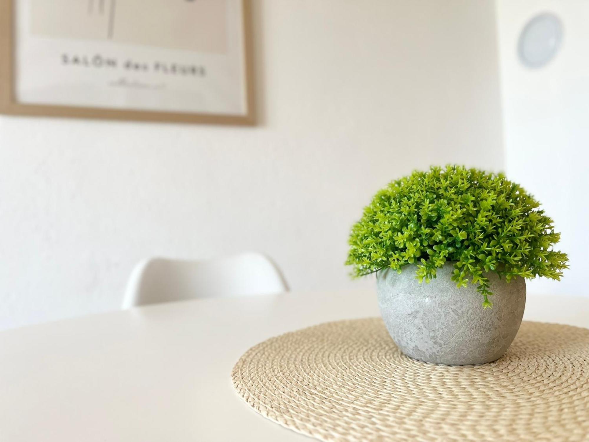 Apartments Contessa Novigrad Istria 外观 照片