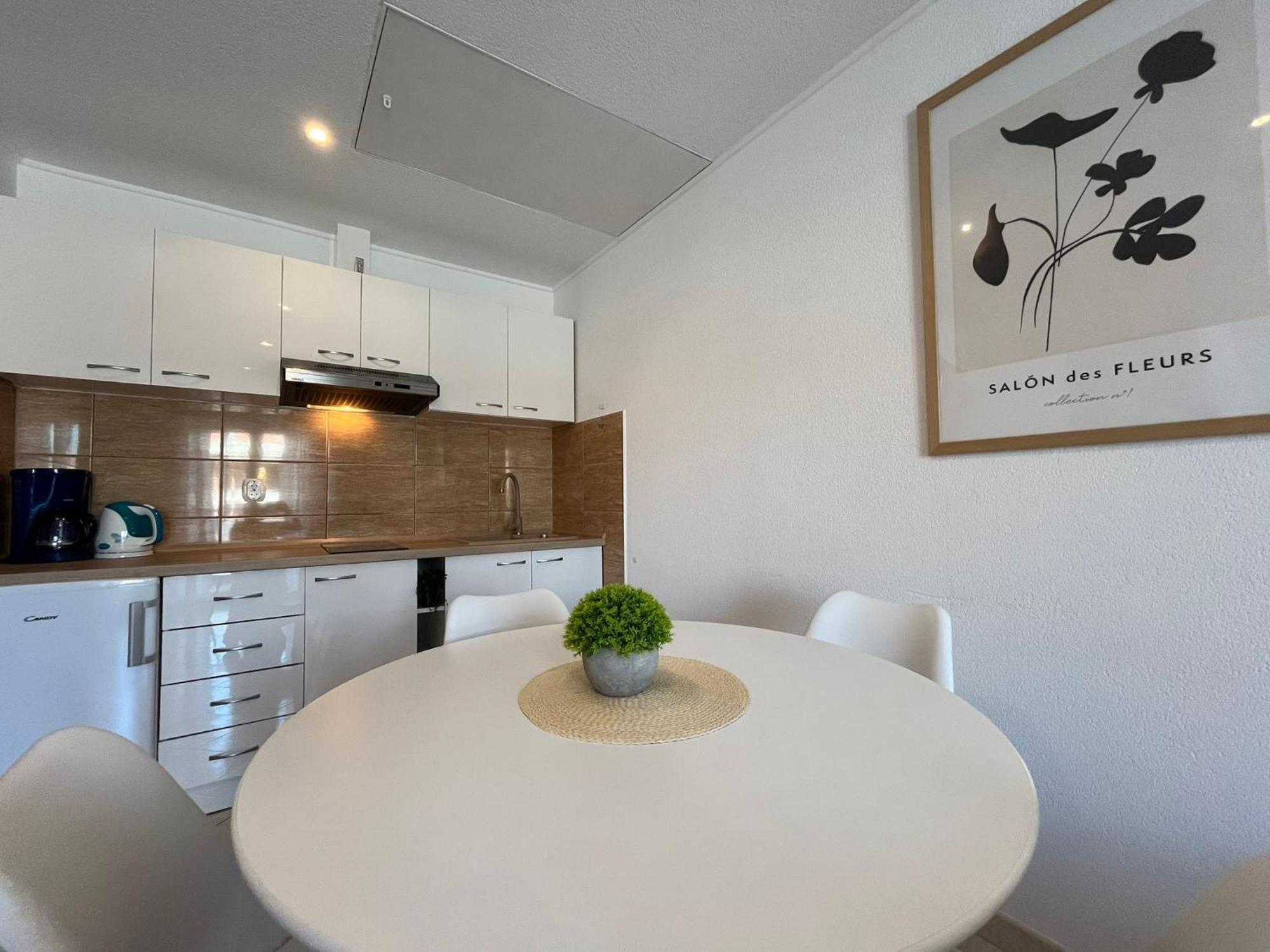 Apartments Contessa Novigrad Istria 外观 照片