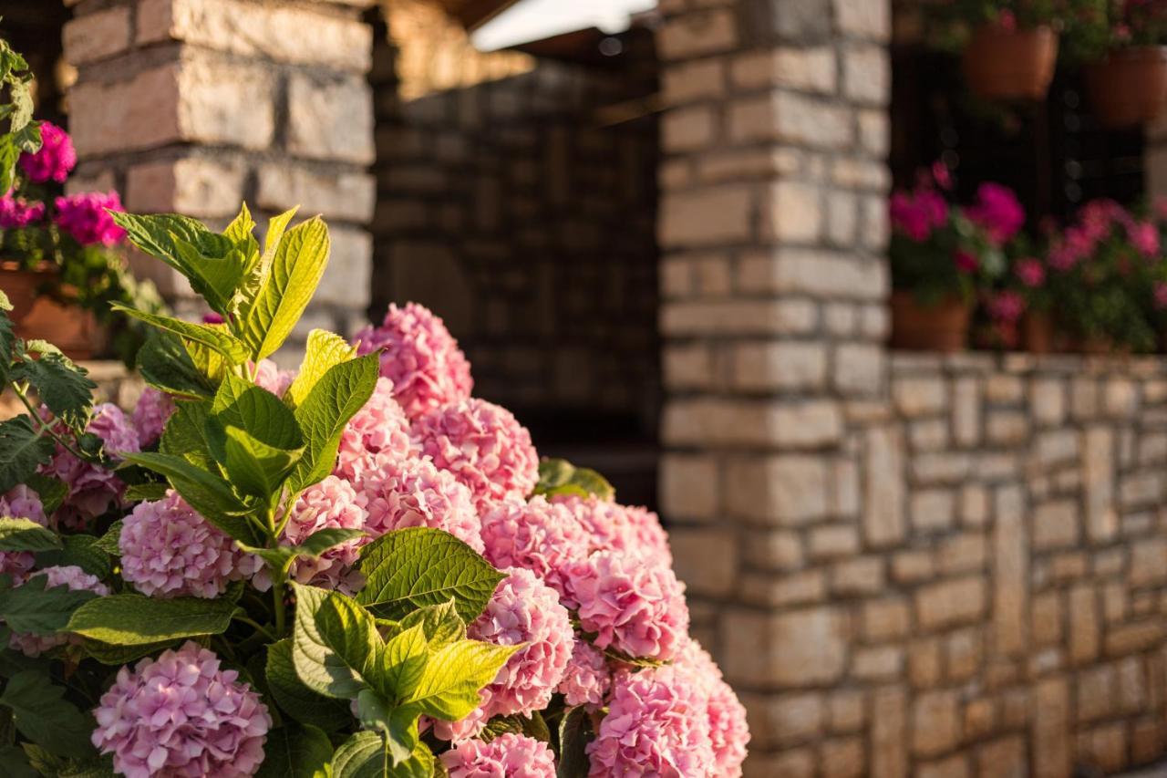 Apartments Contessa Novigrad Istria 外观 照片